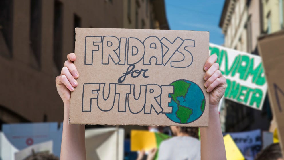 Hands holding a poster that says 'Fridays for Future' in a protest