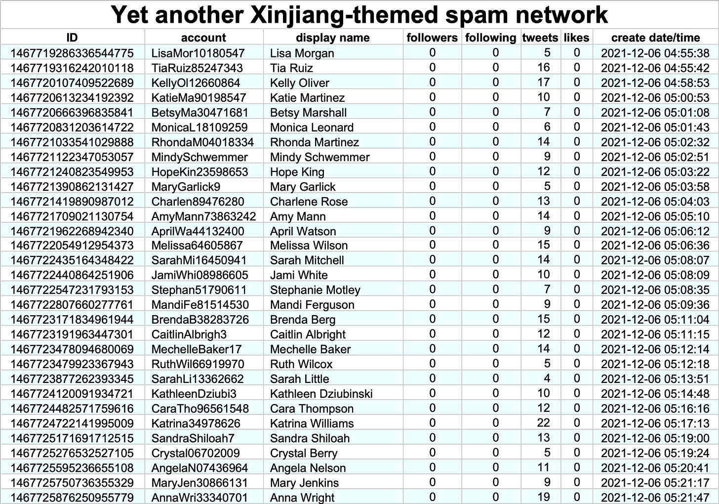 table of accounts from a December 2021 spam network