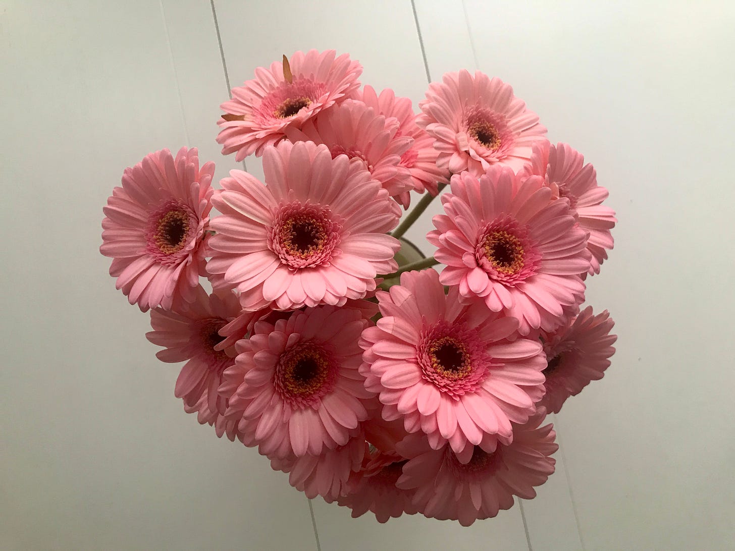 A direct overhead view of a bouquet of large pink daisies in a vase on a white table