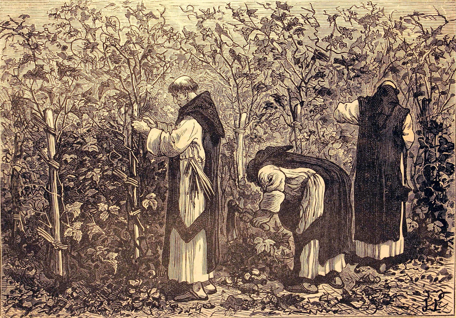 Fichier:Les merveilles de l&#39;industrie, 1873 &quot;Les moines bourguignons  cultivant la vigne, au moyen âge&quot;. (4305564087).jpg — Wikipédia
