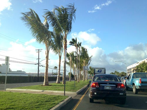 Nimitz Highway Beautification