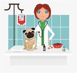 Image result for veterinarian cartoon image