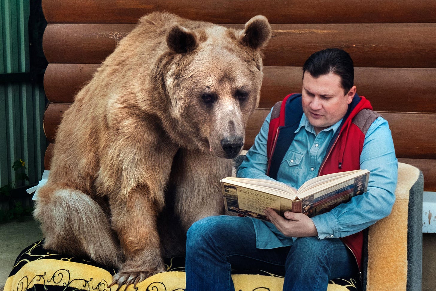 PsBattle: Man reading to a bear : photoshopbattles