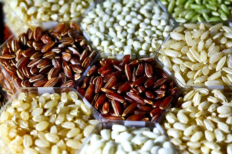 File:Rice grains (IRRI).jpg