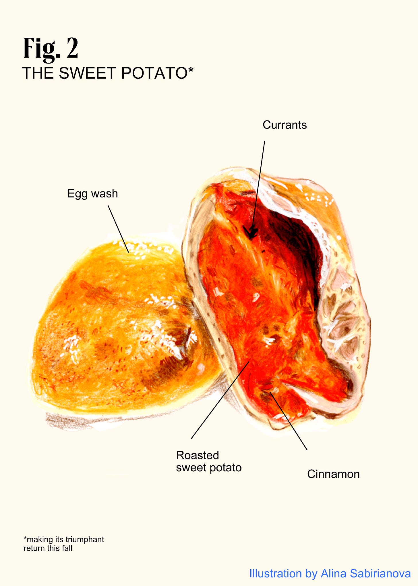 A drawing of a sweet potato knish and its components