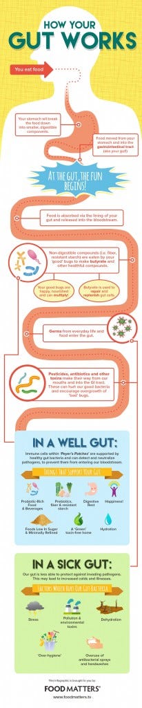 gut-infographic