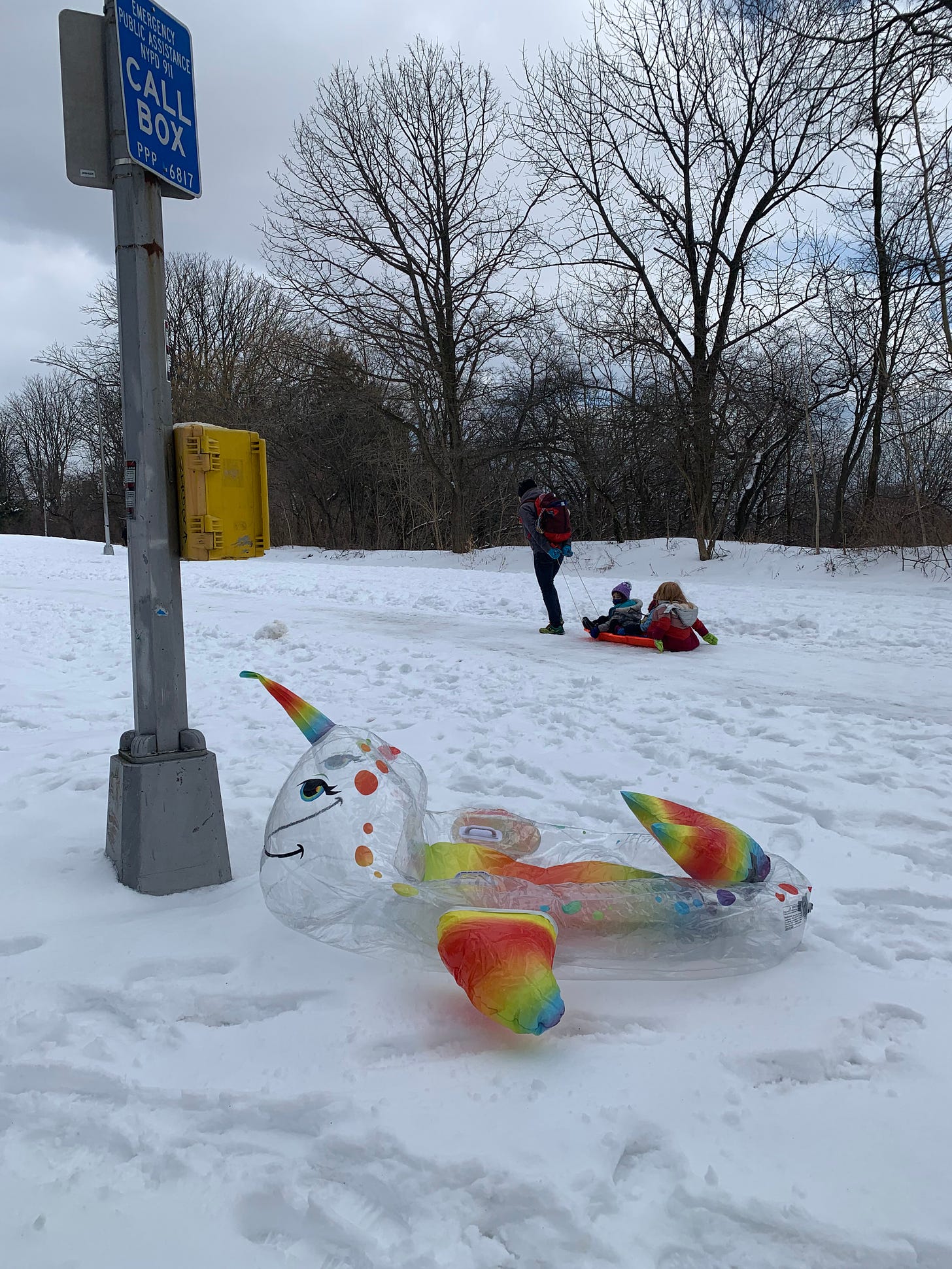 a rainbow unicorn pool toy deflated and left by a light pole in a snowy park 