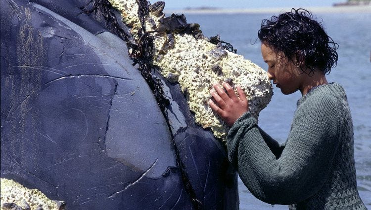Whale Rider is the best princess movie Disney never made - Polygon