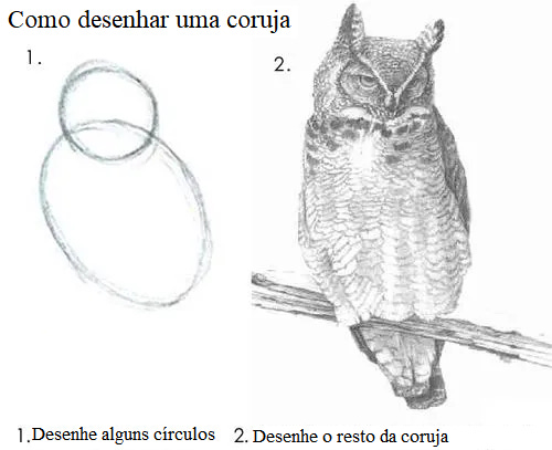 Como desenhar uma coruja 1. 2. 1. Desenhe alguns círculos 2. Desenhe o resto da porra da coruja Coruja coruja pássaro ave de rapina fauna vertebrado bico desenho