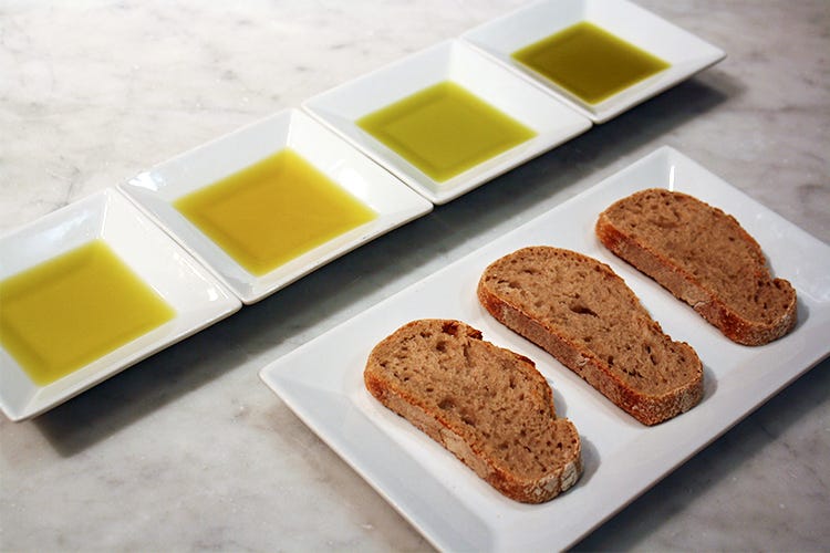 How to Taste Olive Oil | Eataly Magazine | Eataly