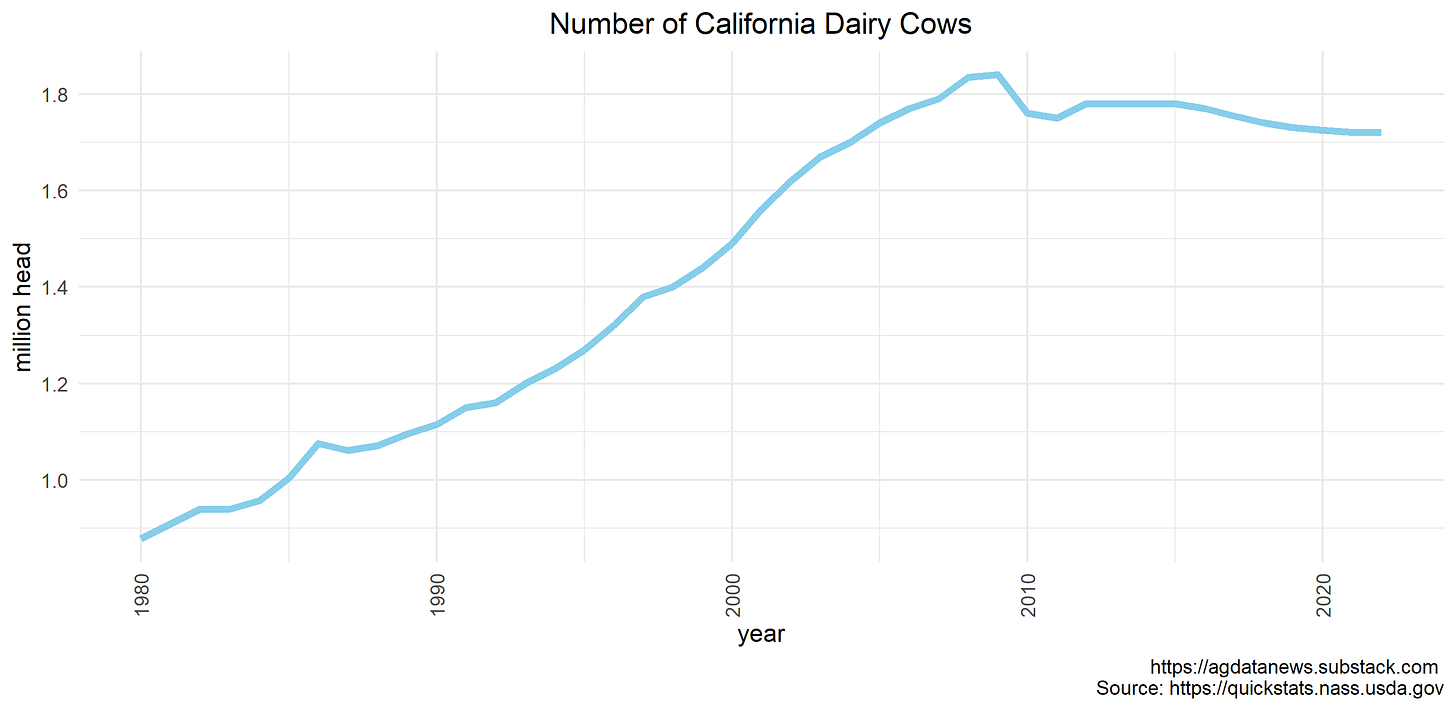 CA Dairy Cows