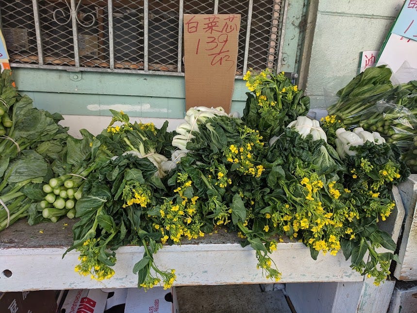 assorted asian choy greens with yellow flowering buds
