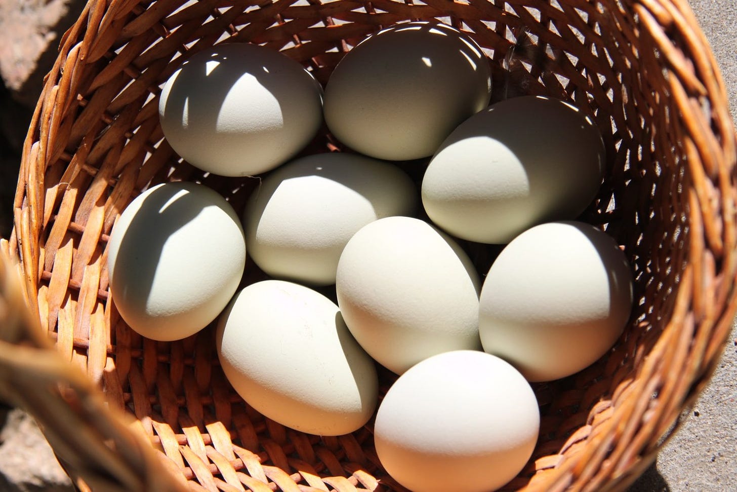 Putting all your eggs in one basket | Amerasia Consulting