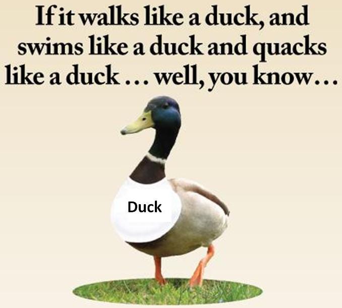 Like A Duck Quotes. QuotesGram