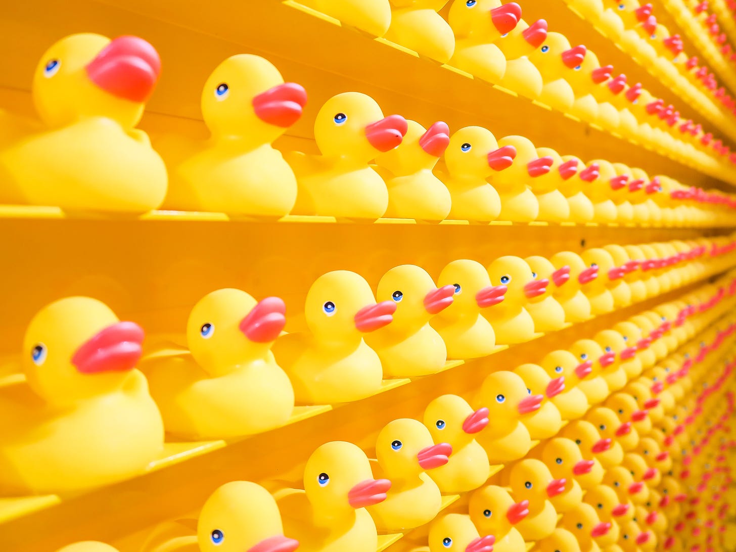 Yellow rubber ducks photo