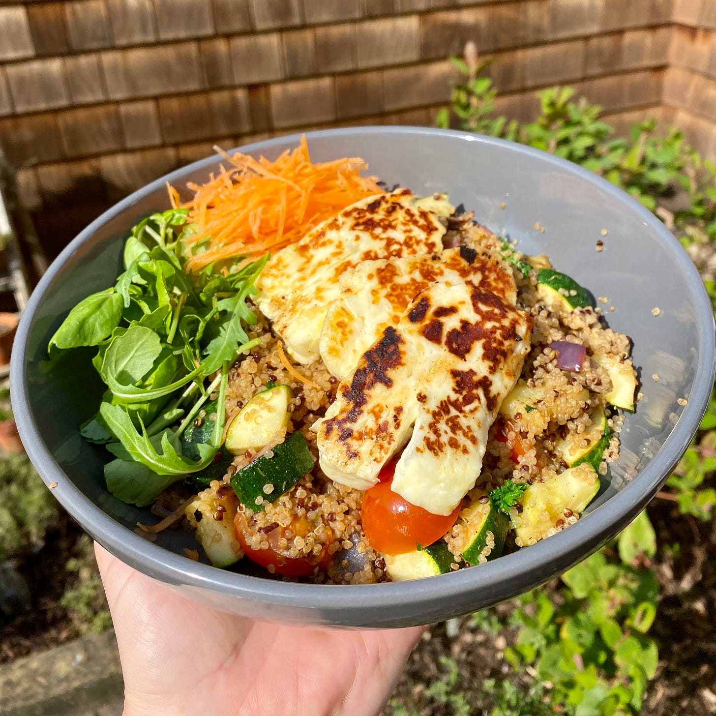 Bowl of quinoa with courgette, halloumi and salad