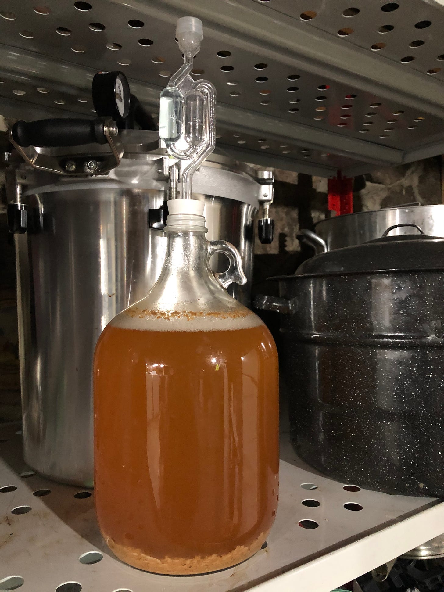 gallon jug of cider fermenting