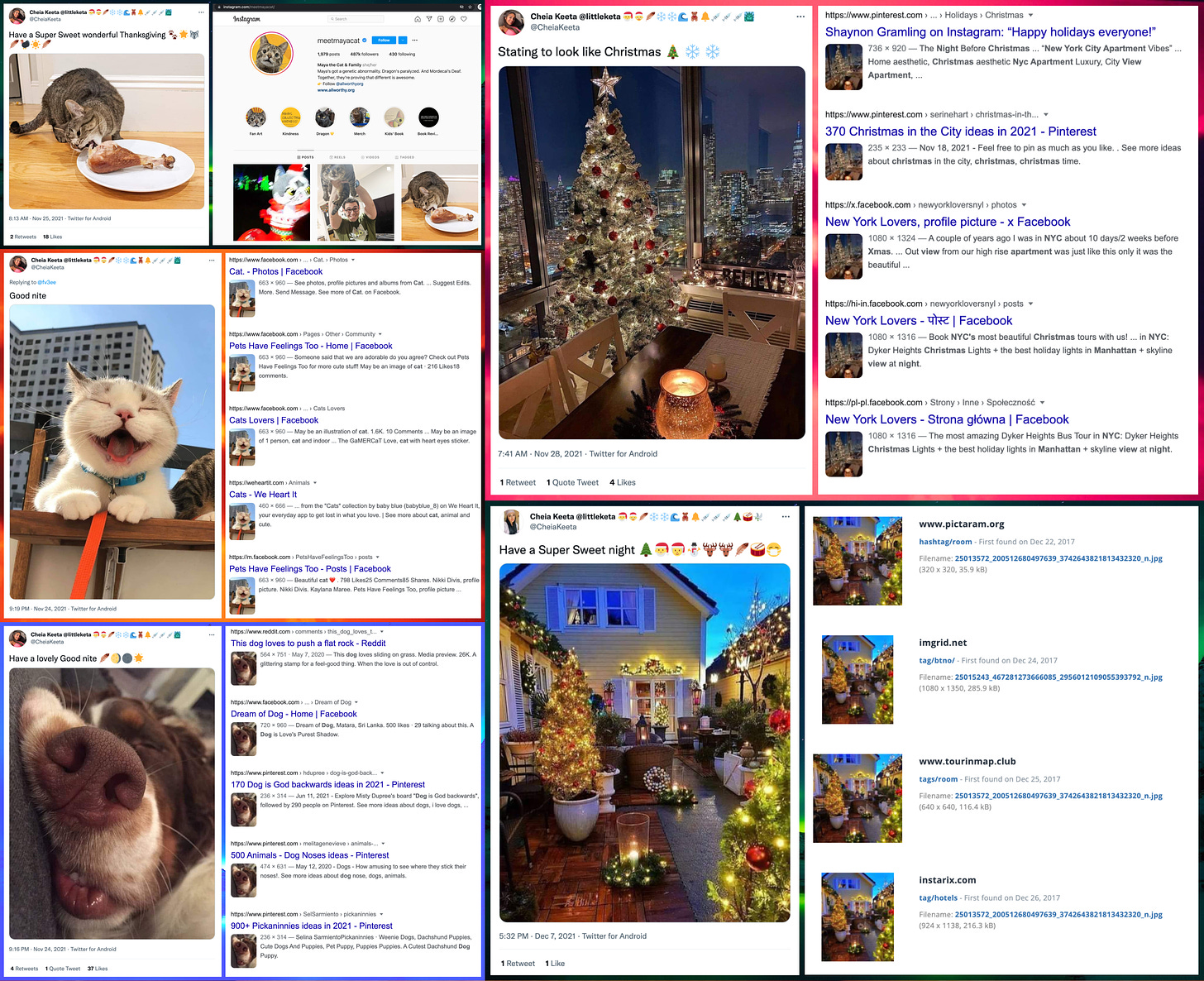 collage of photos allegedly depicting @CheiaKeeta's pets and Christmas tree, and reverse image searches showing that all the photos are plagiarized