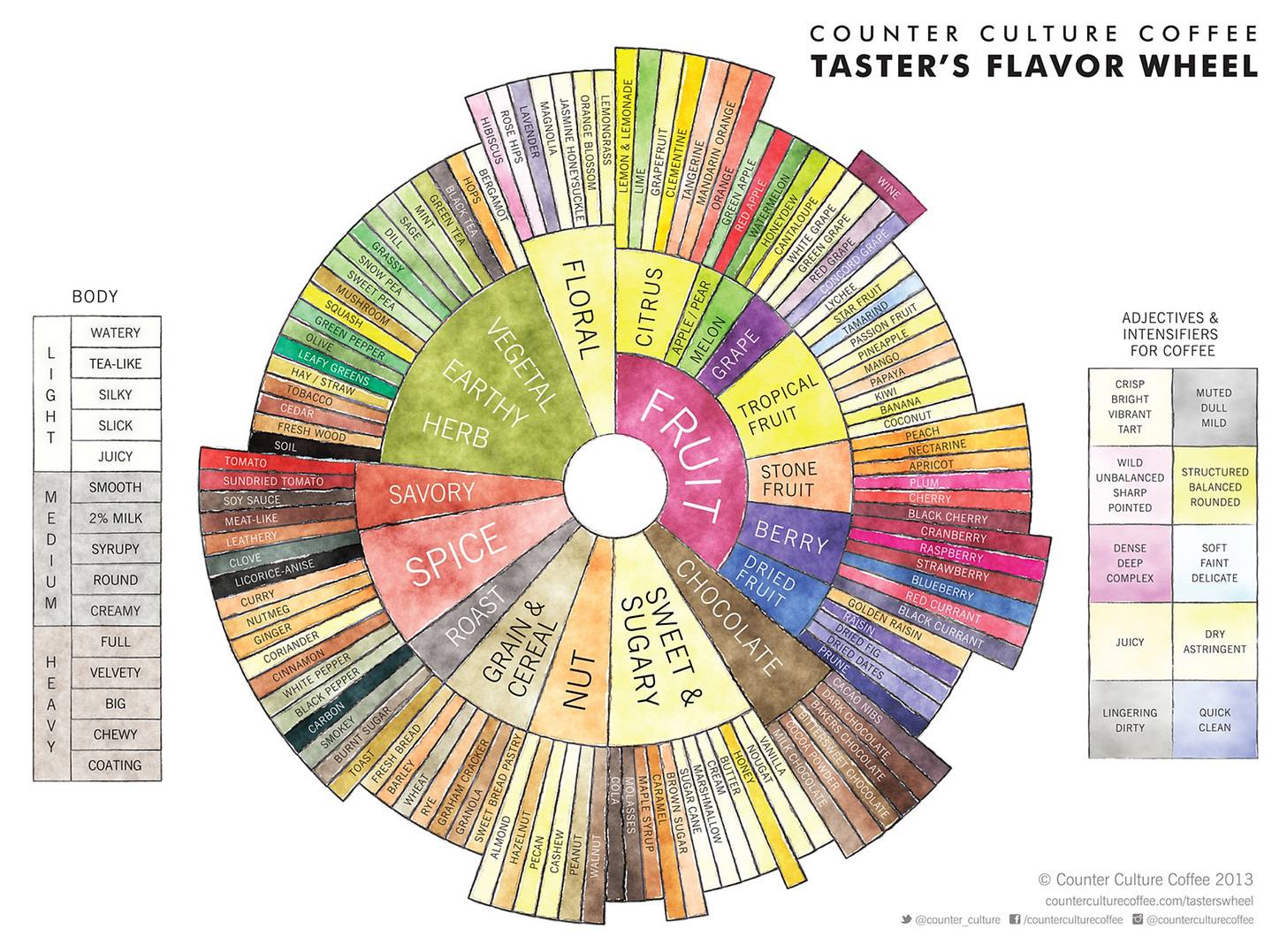 A colorful coffee flavor wheel showing all the different possible flavors found in coffee like fruit, chocolate or spice, and broken down by section.