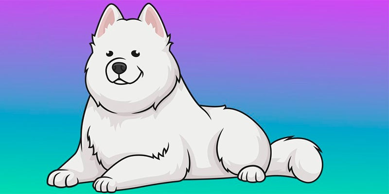 There is a Samoyed coin now on the Solana Blockchain: samoyeds