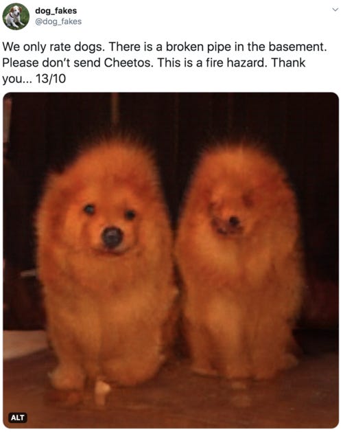 We only rate dogs. There is a broken pipe in the basement. Please don’t send Cheetos. This is a fire hazard. Thank you... 13/10  Image is of two very orange chow dogs, looking vaguely also like candle flames