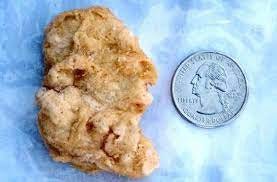 A photo of a McDonald’s Chicken McNugget that resembles George washington, positioned on a table next to a quarter with the dead president’s image on it.