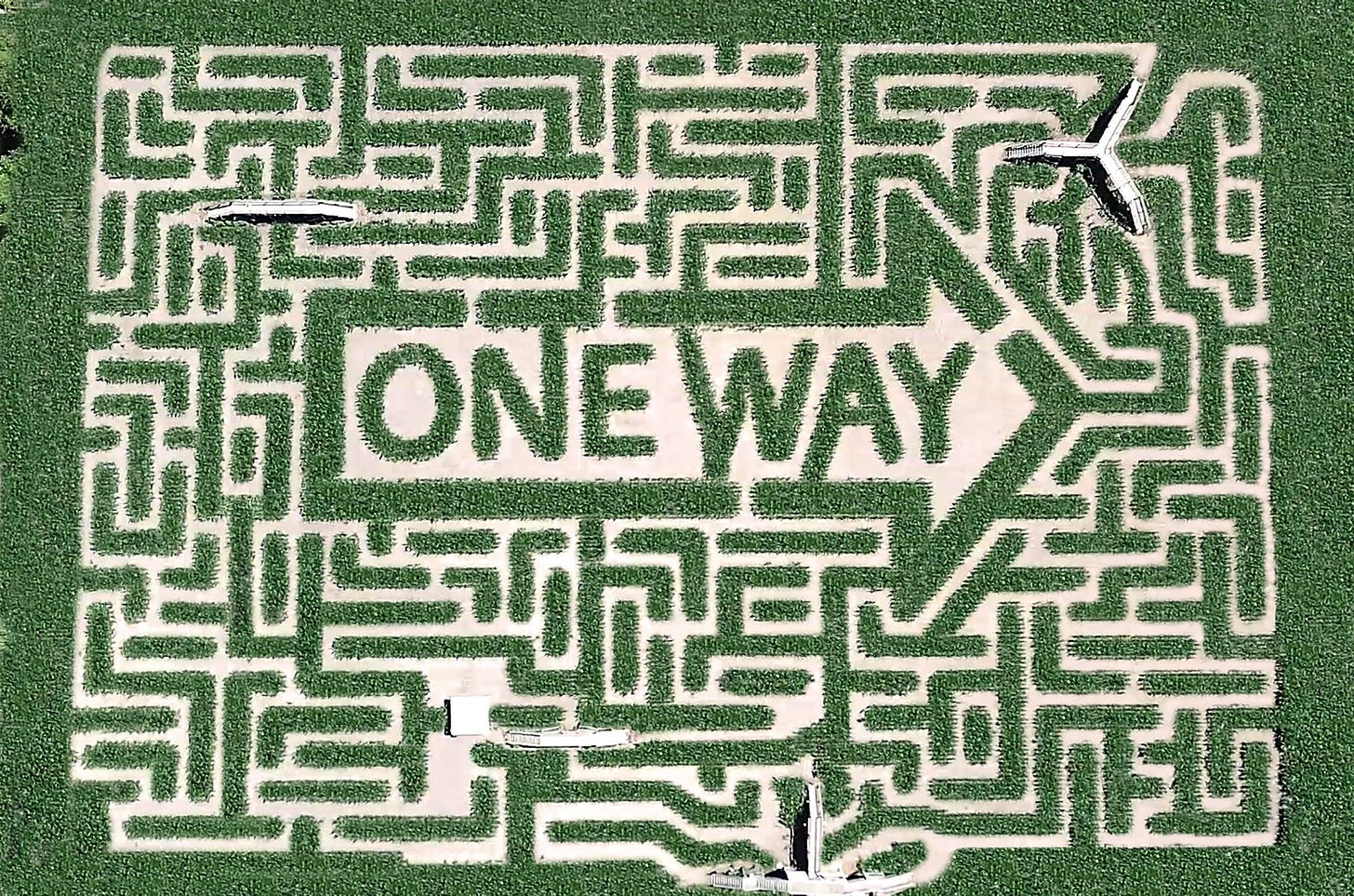 15 Coolest Corn Mazes in the U.S. to Wander Through This Fall