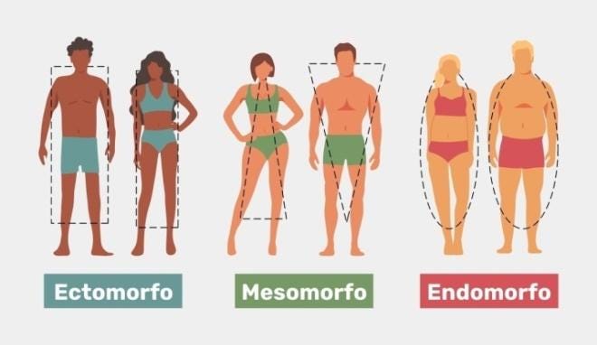 https://static.tuasaude.com/media/article/ag/sl/somatotipo_57793.jpg