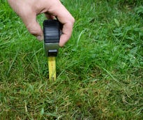measuring grass with tape measure