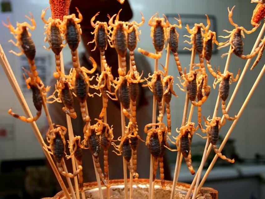 Scorpions on a stick are a big hit at San Marcos fair