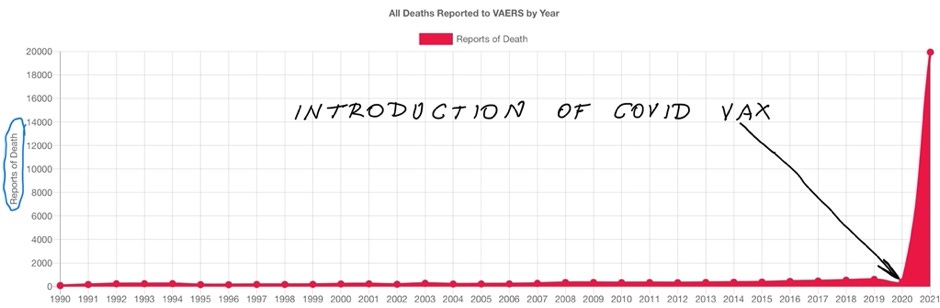 A picture containing table

Description automatically generated