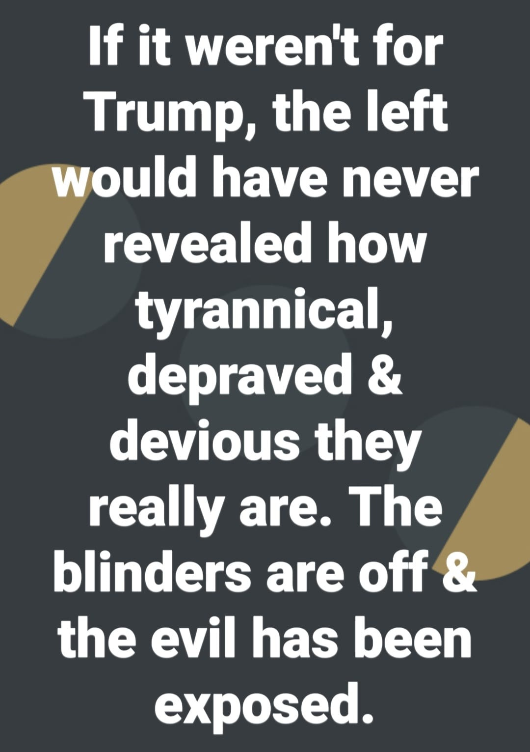 May be an image of text that says 'If it weren't for Trump, the left would have never revealed how tyrannical, depraved & devious they really are. The blinders are off & the evil has been exposed.'