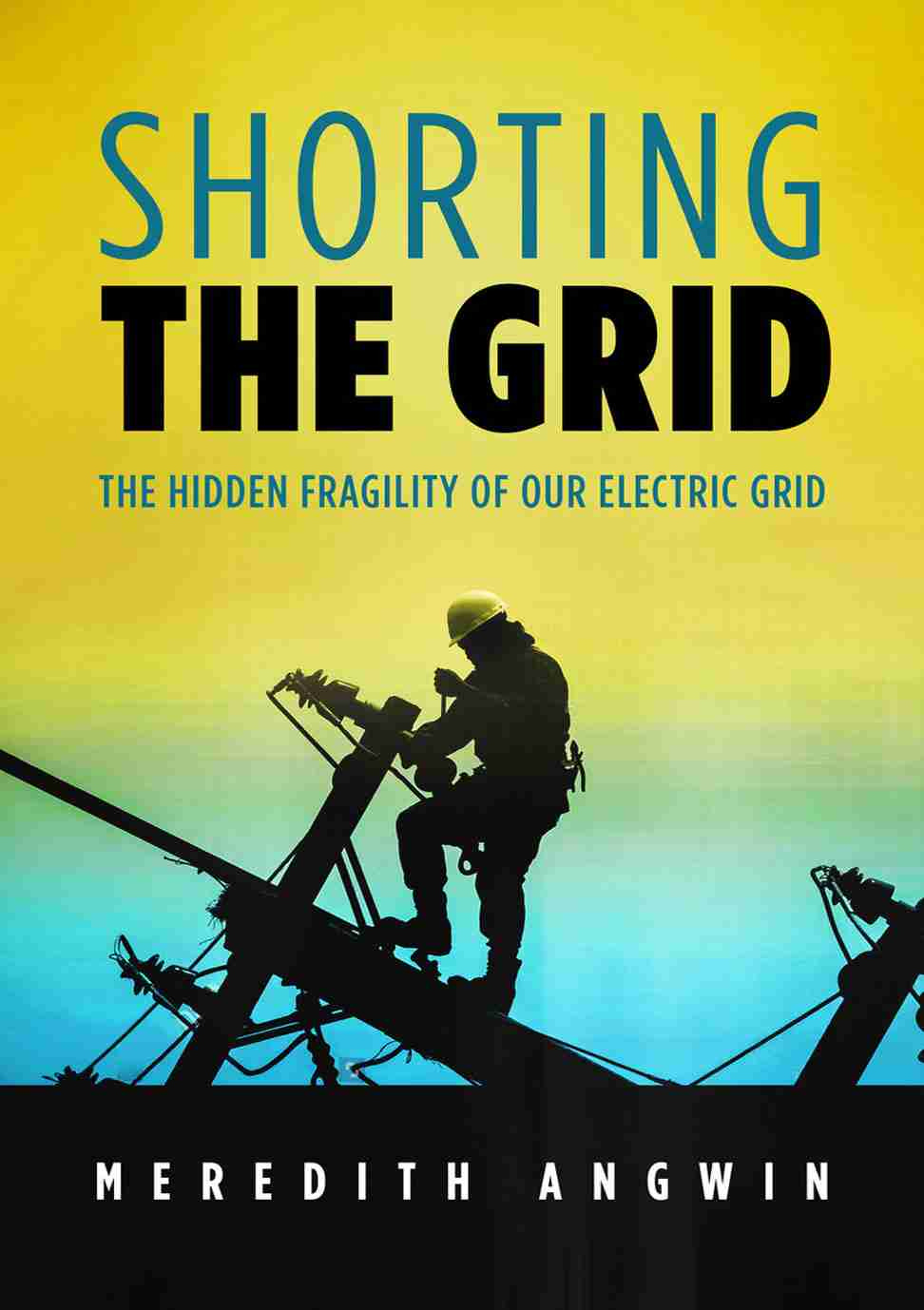 shortingthegridcover