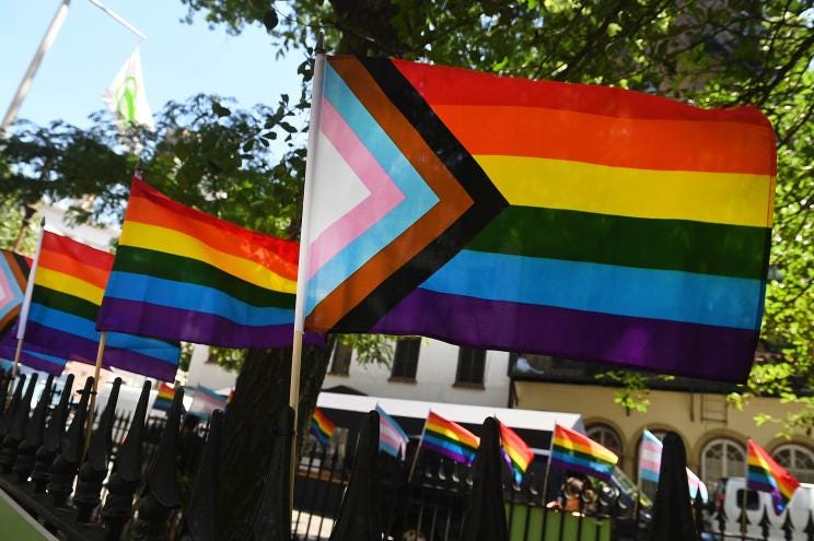 The new "Progress Flag" that replaced the original Gay Pride rainbow flag has caused a rift in the LGBT community.