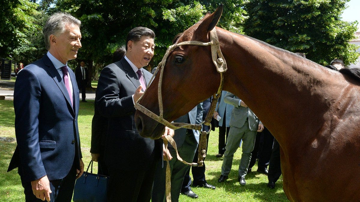 Claudio Chiaruttini auf Twitter: "Con el objetivo de reinstalar el polo en  China y fomentar la exportación de caballos en pie, @mauriciomacri le  regaló un caballo de polo a su par chino,