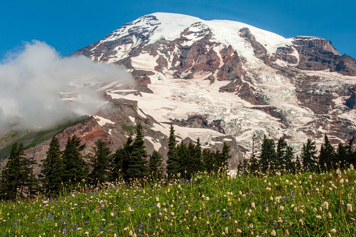 Behind a field of white flowers, the snow-capped summit of Mount Rainier fills the shot, white glaciers and snowfields running over reddish brown exposed rocks, beneath a shockingly blue sky, a wisp of cloud hinted arcing above the summit while a gray cloud obscured the western slope
