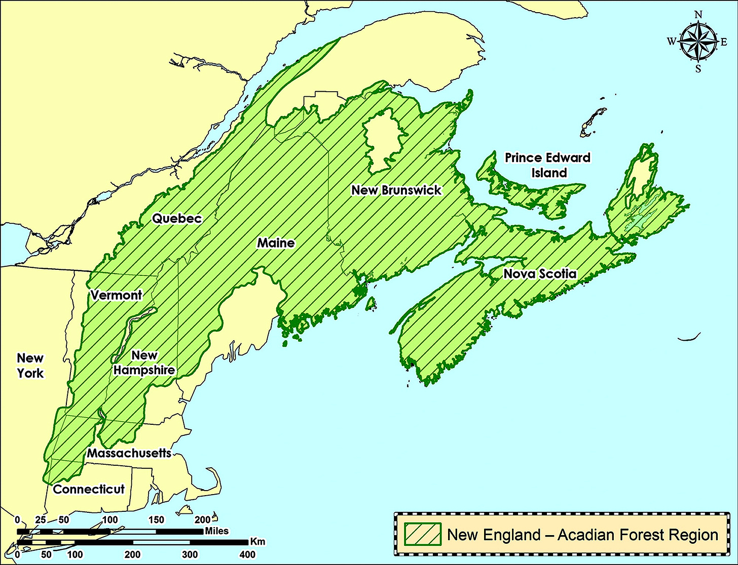 Borealization of the New England – Acadian Forest: a review of the evidence
