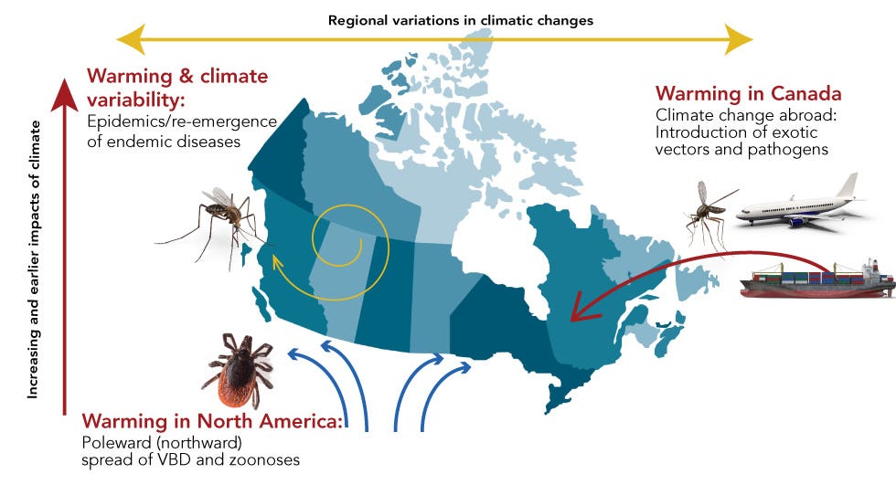 Climate change and infectious diseases 2019 - Canada.ca