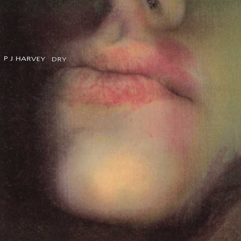 PJ Harvey — 'Dry'. A very quick look back at a great debut… | by Anthony  Overs | Plethora Of Pop | Medium