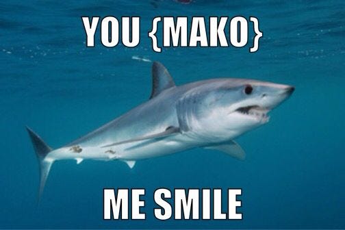 Mako shark pun | Shark jokes, Shark puns, Sharks funny