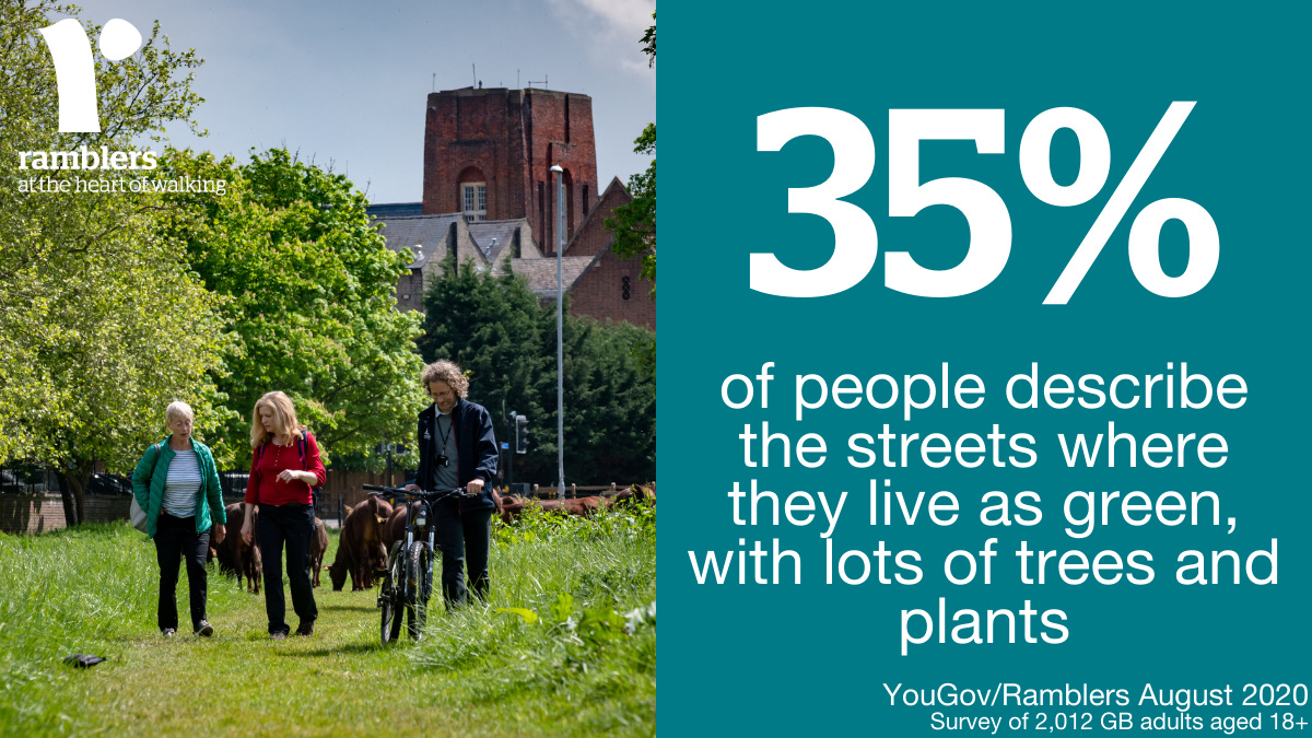 The grass isn't greener for everyone: why access to green space matters