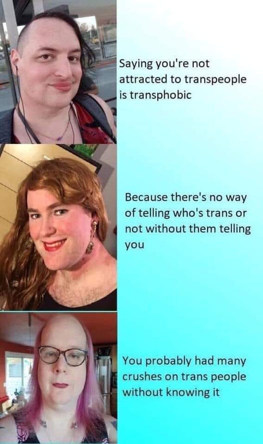 May be an image of 3 people and text that says 'Saying you're not attracted to transpeople is transphobic Because there's no way of telling who's trans or not without them telling you You probably had many crushes on trans people without knowing it'