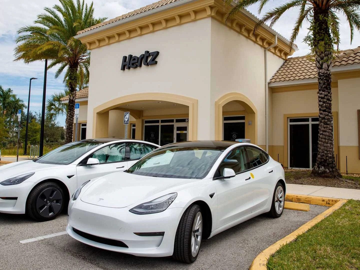 Hertz Says Tesla Began Deliveries As Musk Claims No Deal Is Signed