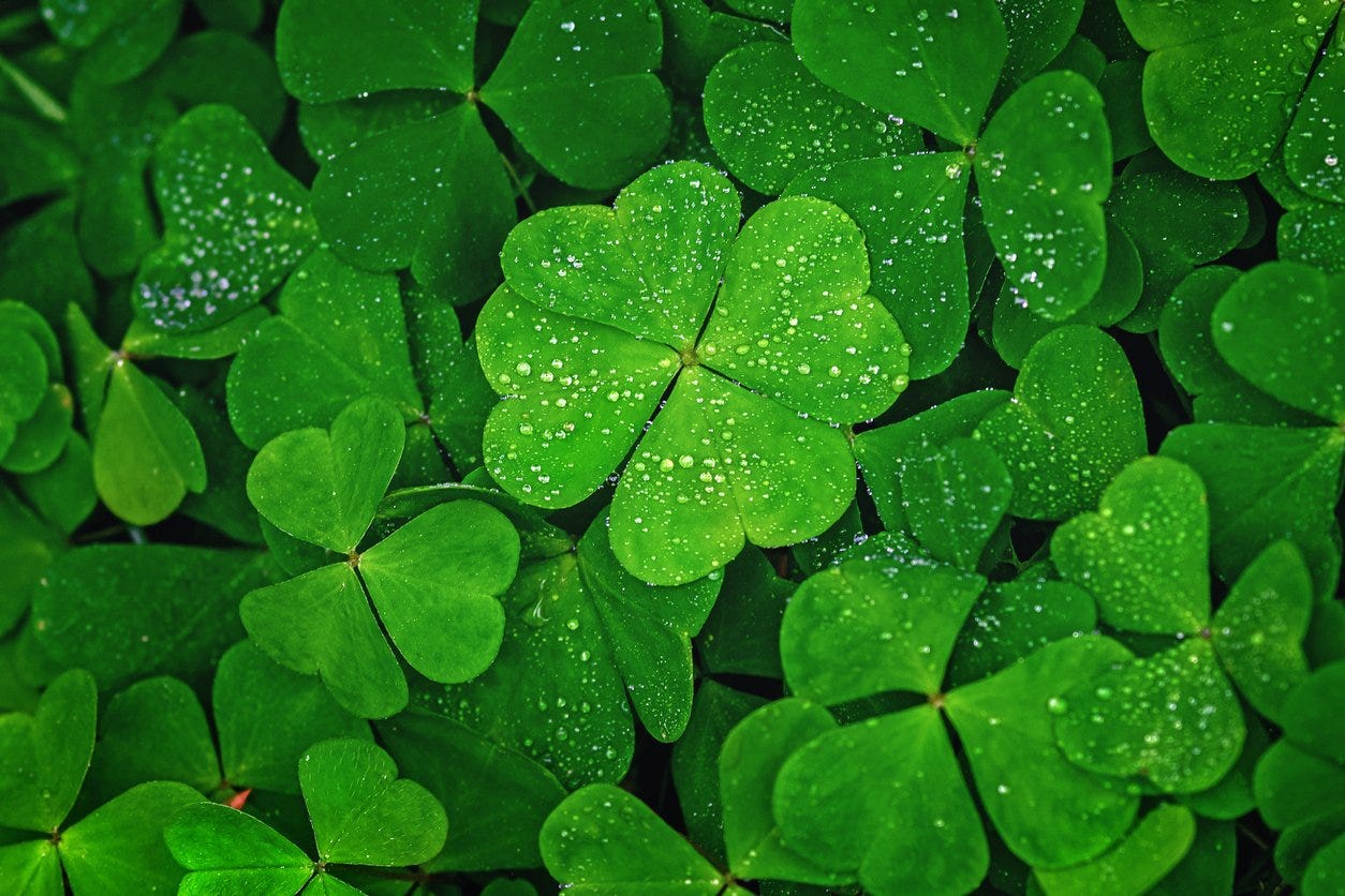 Why Are Four-Leaf Clovers Lucky? Meaning, Odds of Finding One