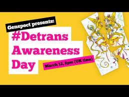 Detrans Awareness Day Webinar - YouTube