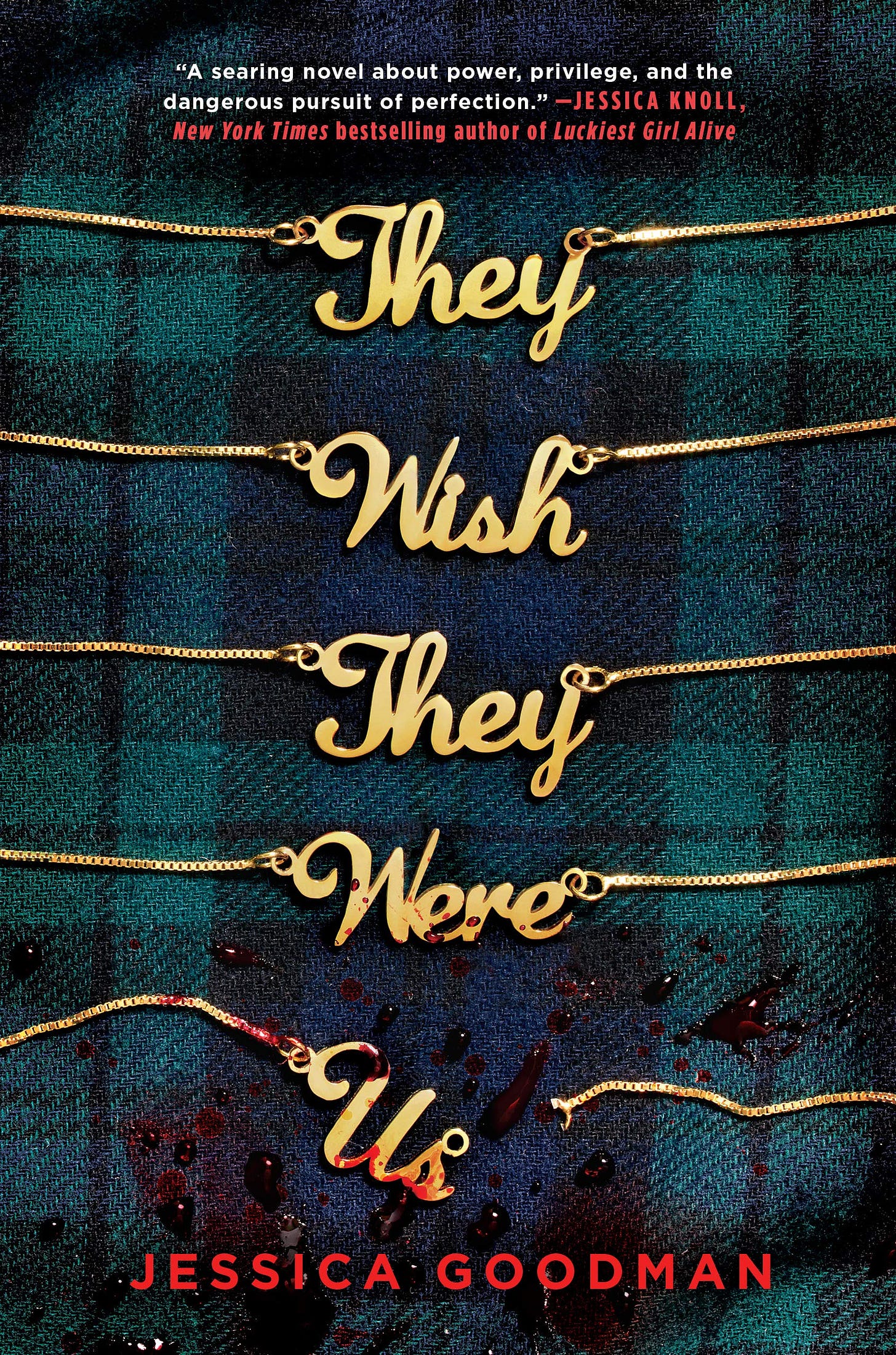 They Wish They Were Us by Jessica Goodman