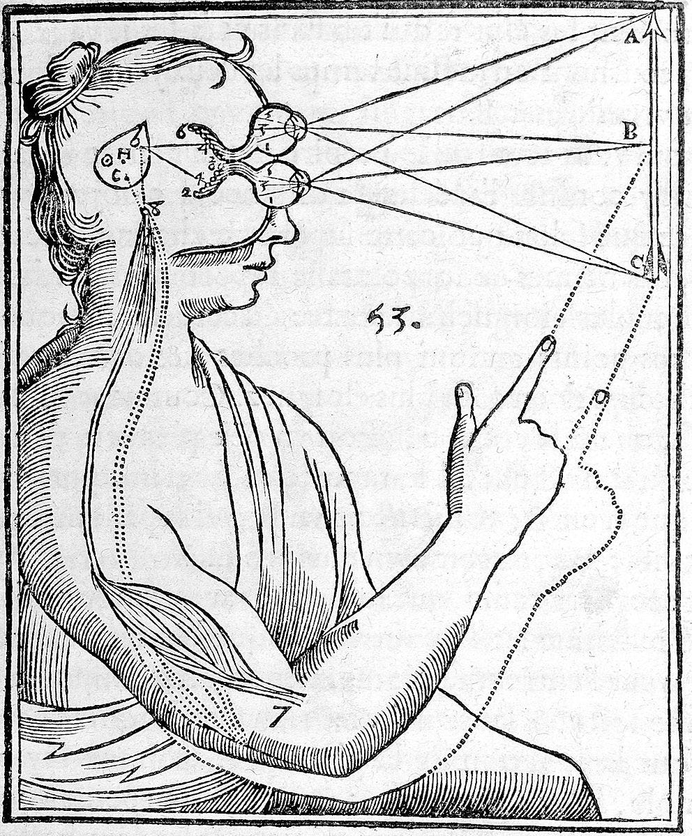 From “Treatise of Man,” René Descartes (1596-1650), drawing outlining the function of the pineal gland