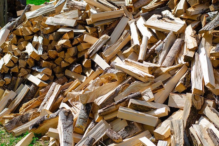 A pile of wood for kindling. Big pile of firewood. (625340) | Nature |  Design Bundles
