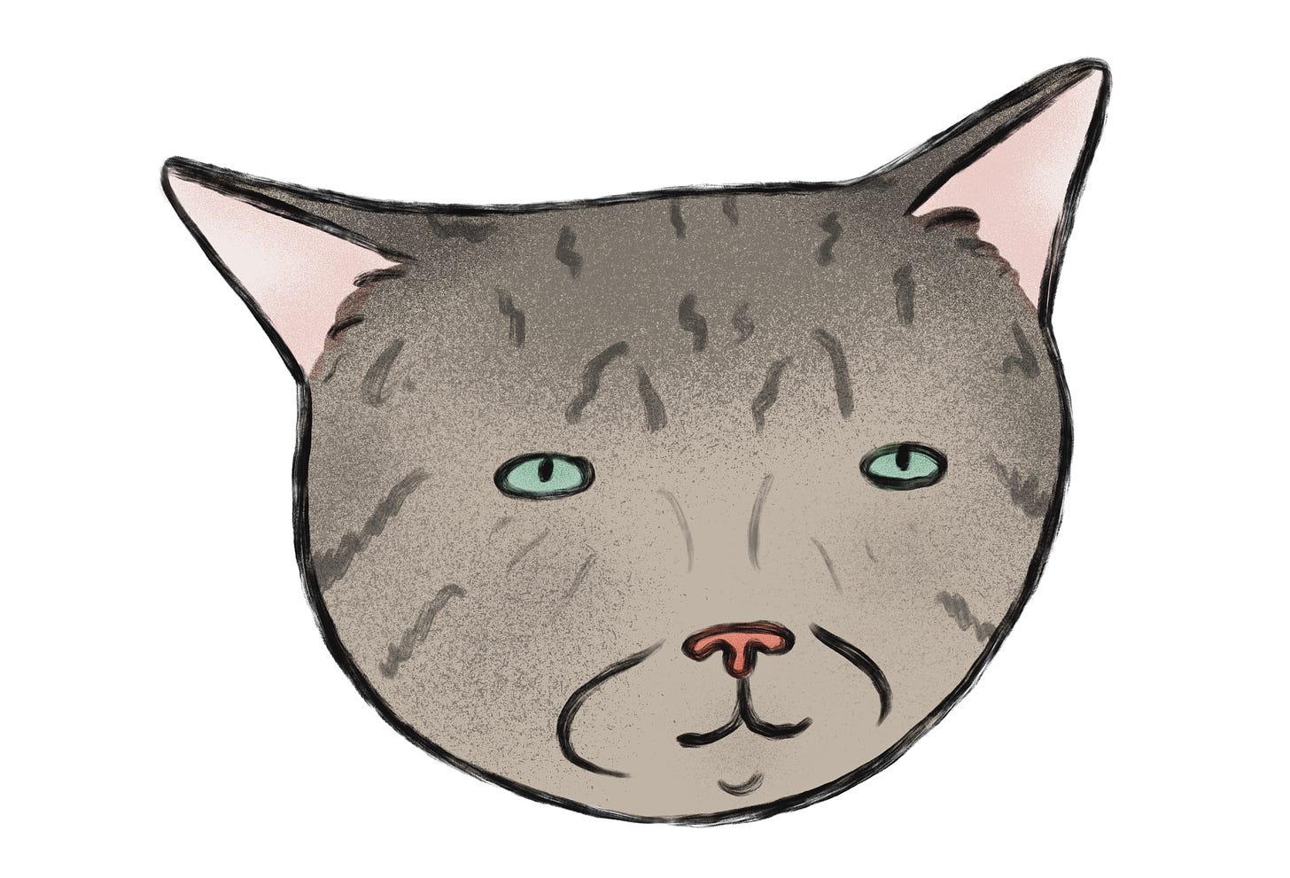 A drawing of a grey tabby with teal eyes