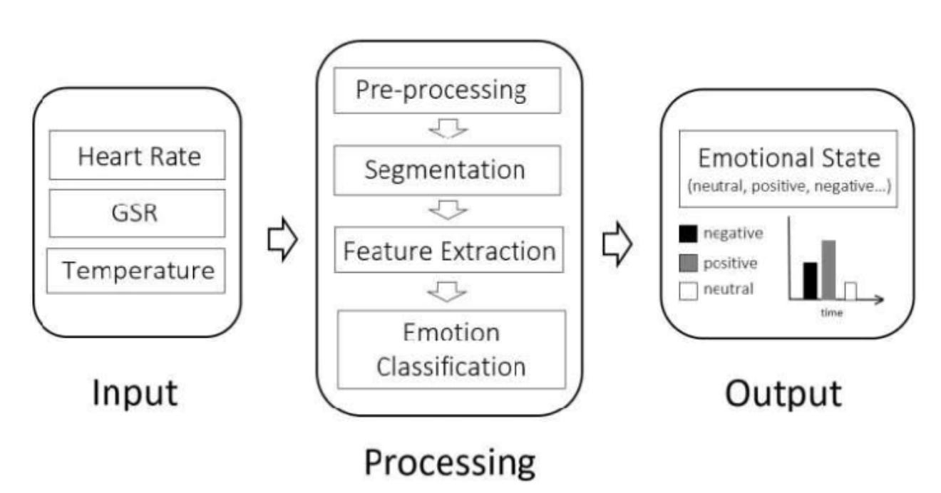 Input-Process-Output (I-P-O) Definition